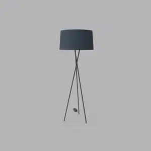 Tripod Light